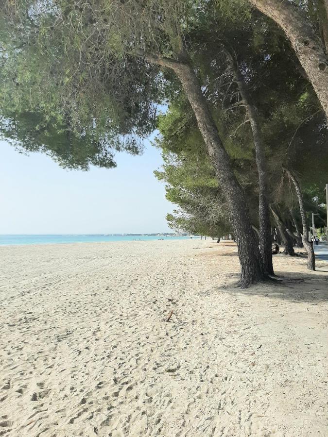Beach Apartment Minerva Port de Alcudia  Exterior photo