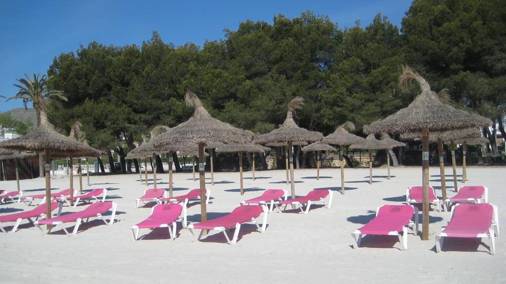 Beach Apartment Minerva Port de Alcudia  Room photo