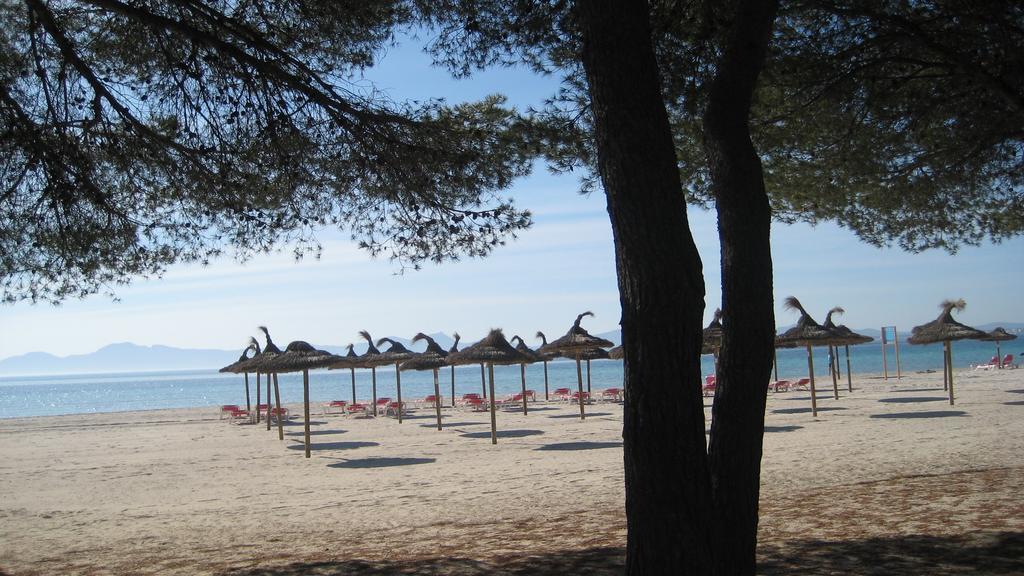 Beach Apartment Minerva Port de Alcudia  Room photo